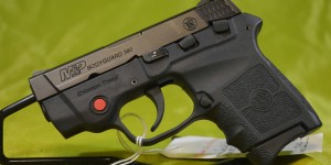 Smith & Wesson M&P Bodyguard 380 W/ laser 